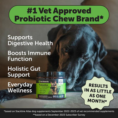 Probióticos Digestivos Pet Honesty